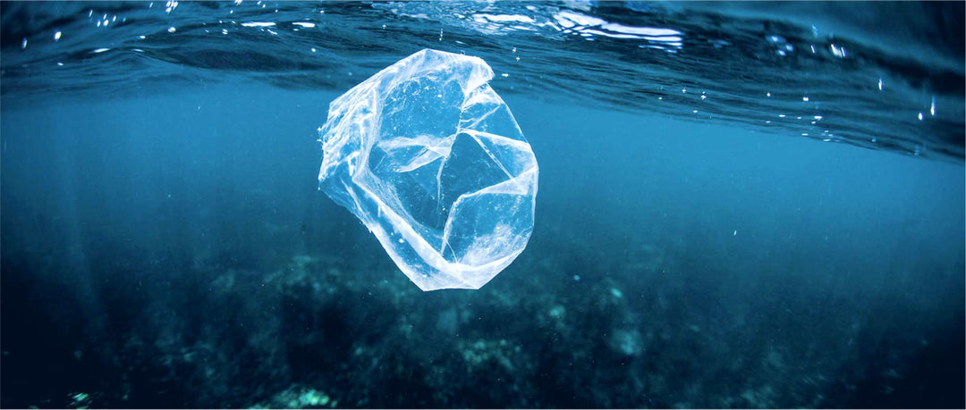 Protección de los océanos, ¿cómo salvar el planeta?