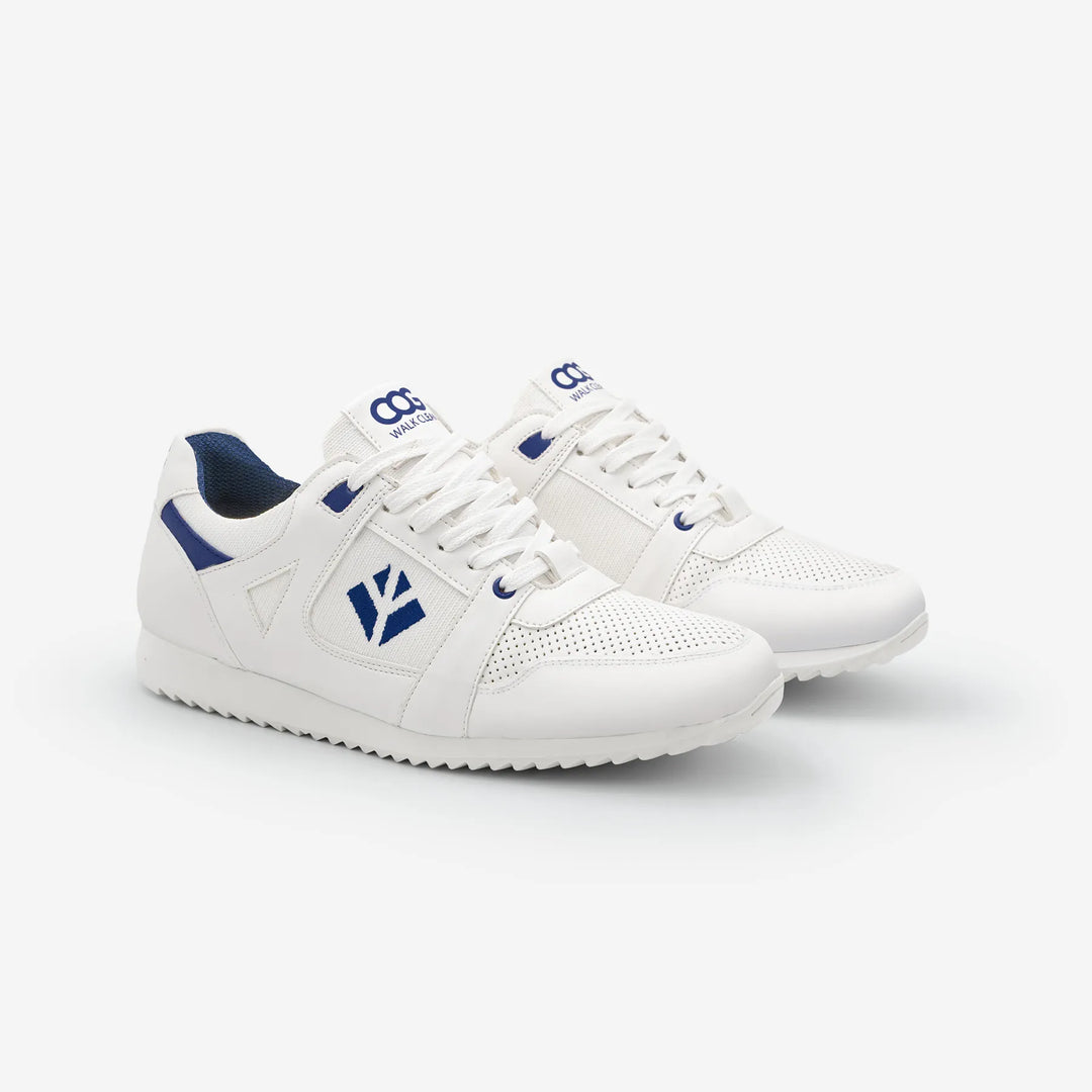 Raven - White Blue F