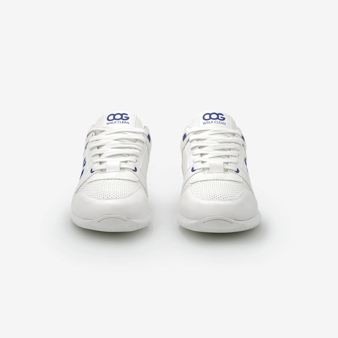 Raven - White Blue F