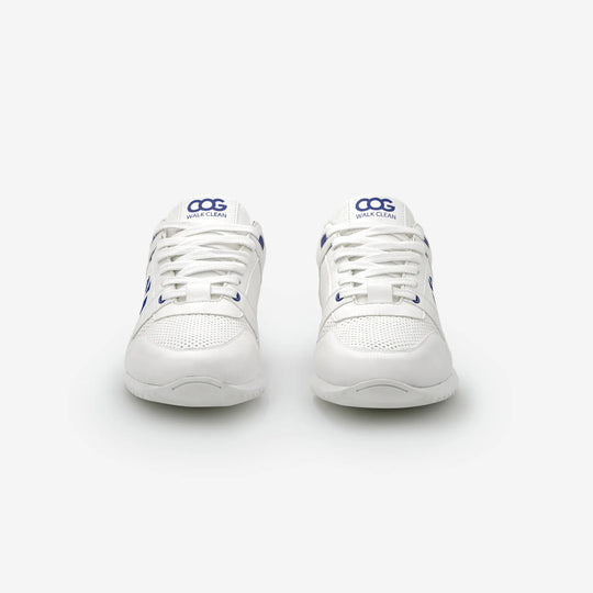 Raven - White Blue F