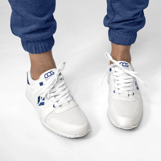 Raven - White Blue F