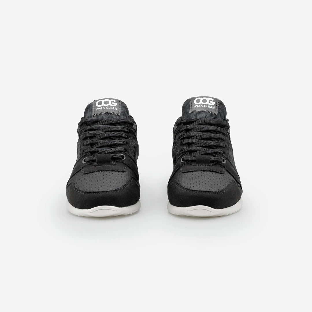 Raven - Black F