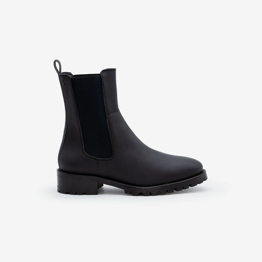 <tc>Thémis</tc> - Black Corn