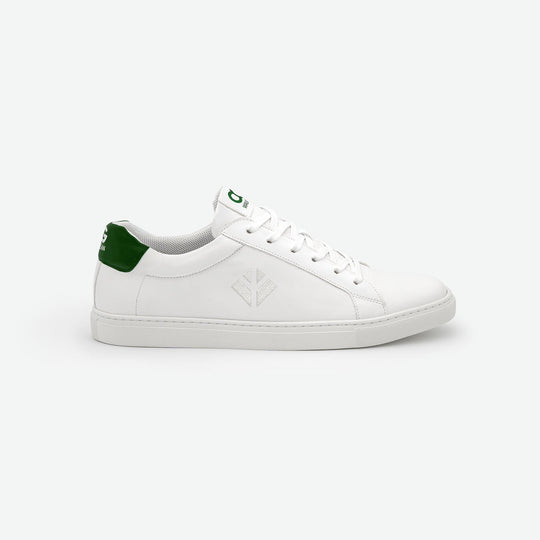 Winton - Maíz Blanco Verde