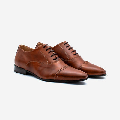 Watson - Marron Glacé